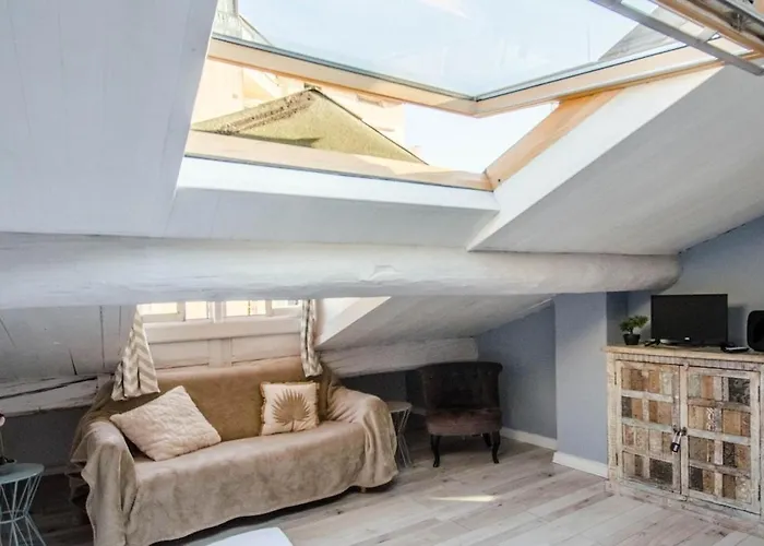 Nid D'azur Daire Cannes